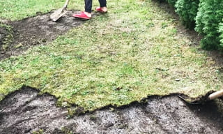 Снятие дерна старого газона в Новошахтинске – от 528 руб. | 2Землекопа-Нвш